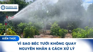 Vì Sao Béc Tưới Không Quay