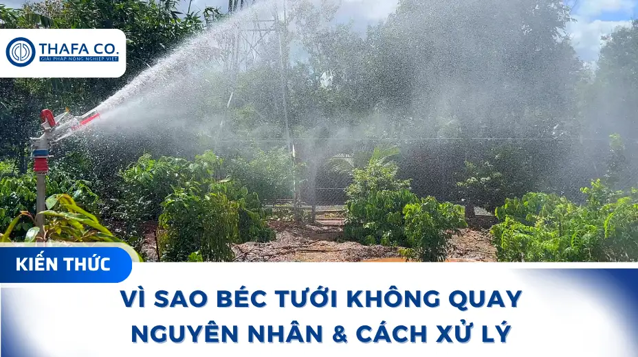 Vì Sao Béc Tưới Không Quay
