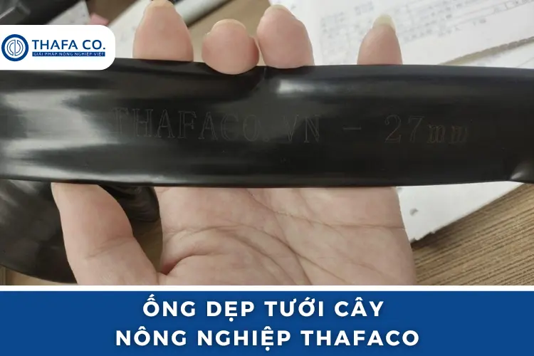 Ống Tưới Dẹp THAFACO 21 - 27 - 34mm 2 Ống dẹp tưới cây nông nghiệp Thương hiệu Thafaco