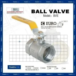 Van Bị Gạt Euro