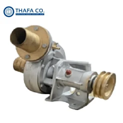 Bơm Tát Nước Phi 100
