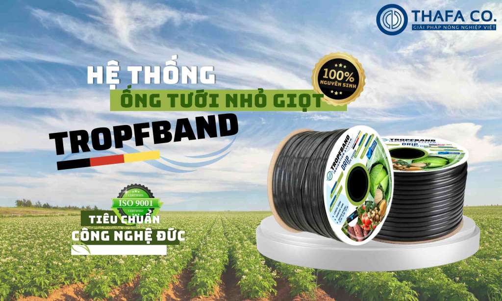 Ống nguyên sinh 100%