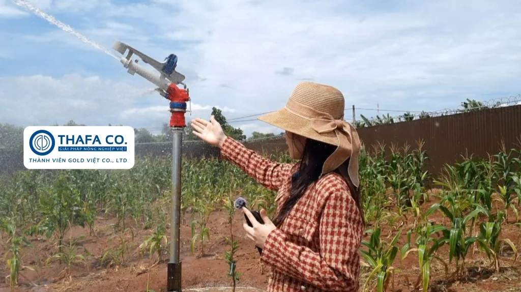 Béc Tưới Cây Sầu Riêng