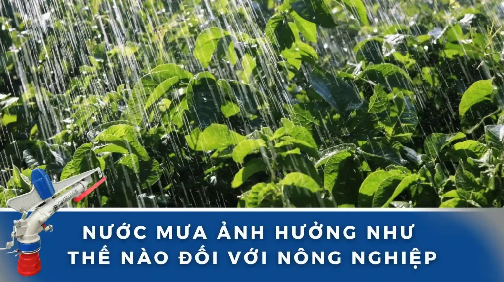 Nước mưa trong nông nghiệp