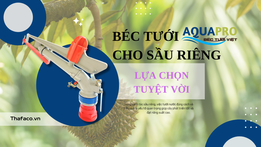 Béc tưới sầu riêng