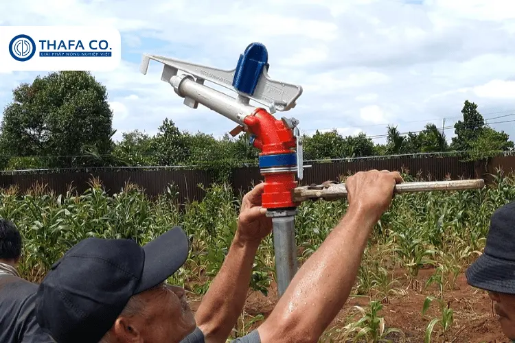 Béc Tưới cho cà phê Aquapro