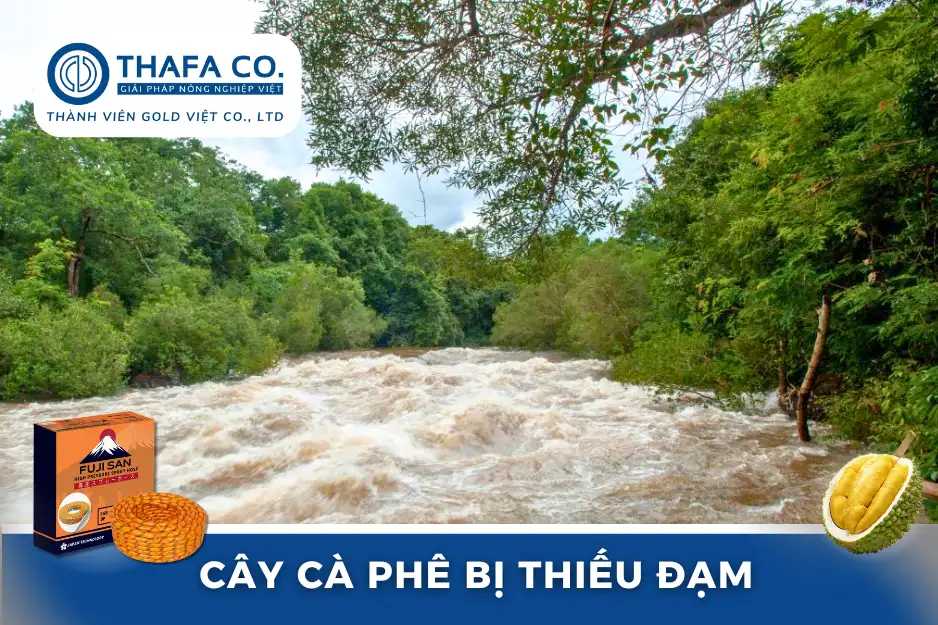 Đặc Điểm Của Mùa Mưa ở Việt Nam