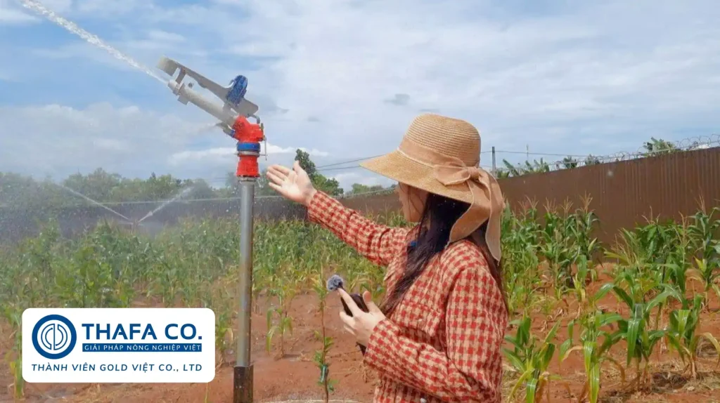 Hệ Thống Tưới Cây Tự Động Cho Cà Phê