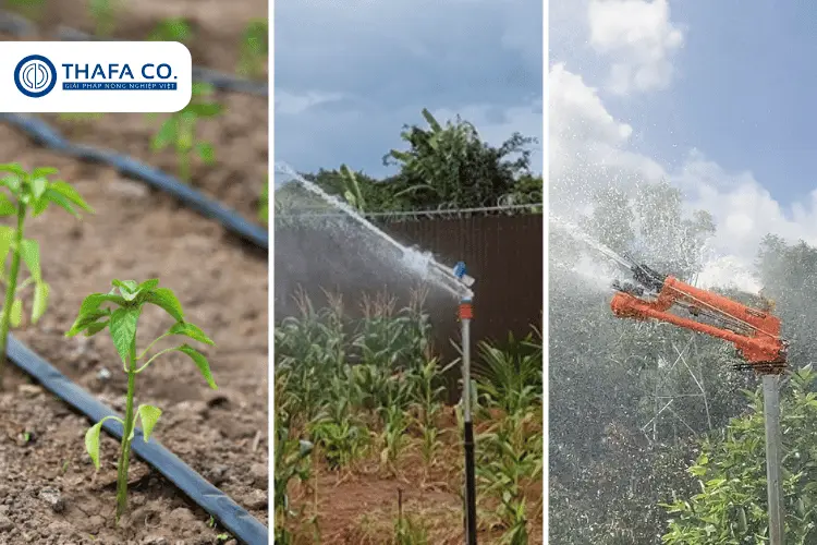 Giải Pháp Tưới Tiêu Hiệu Quả: Sử Dụng Béc Tưới Phun Mưa 2 Béc tưới là gì trong giải pháp tưới tiêu