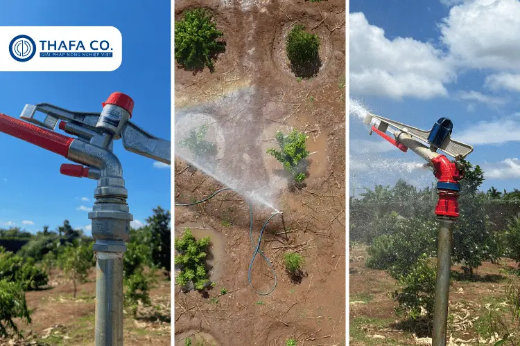 Giải Pháp Tưới Tiêu Hiệu Quả: Sử Dụng Béc Tưới Phun Mưa 5 Béc tưới phun mưa cánh đập