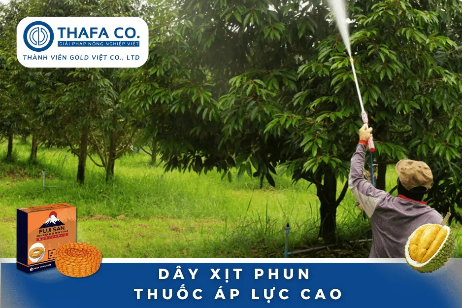 Hướng Dẫn Chăm Sóc Sầu Riêng Mùa Mưa Hiệu Quả Cho Năng Suất Cao 22 Phun Thuốc Cho Cây Sầu Riêng Vào Mùa Mưa