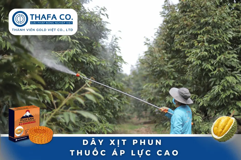 Nguyên Nhân & Cách Trị Bệnh Nấm Hồng Trên Cây Sầu Riêng Hiệu Quả 22 Trị nấm hồng trên cây sầu riêng