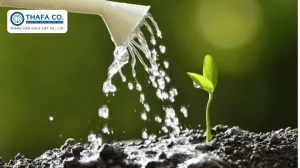 Vai Trò Nguồn Nước Trong Nông Nghiệp
