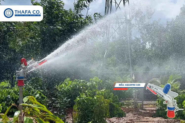 +04 Các Dòng Béc Súng Tưới Cà Phê Cho Các Nhà Vườn 5 Béc súng tưới cà phê Aquapro 40X