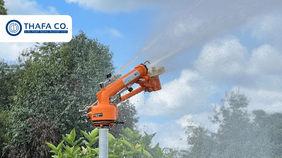 Béc Súng Tưới Cà Phê Cho Vườn Lớn