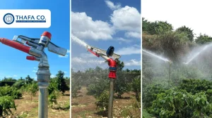 Béc súng tưới cà phê nhà vườn nhỏ