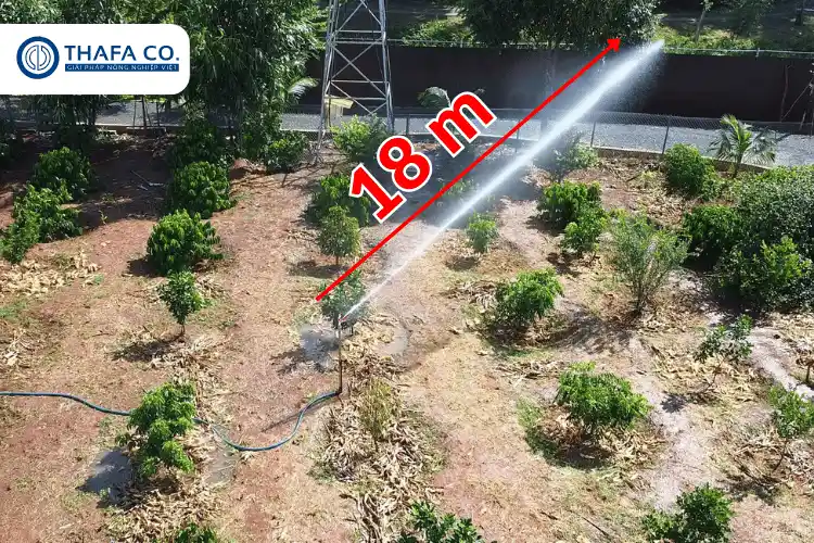 +04 Các Dòng Béc Súng Tưới Cà Phê Cho Các Nhà Vườn 2 Béc súng tưới cà phê TP 01