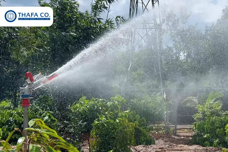 TOP 6 Loại Béc Tưới Cà Phê Bán Kính Lớn Chính Hãng Thafaco 2 Béc tưới cà phê bán kính lơn Aquapro 40X