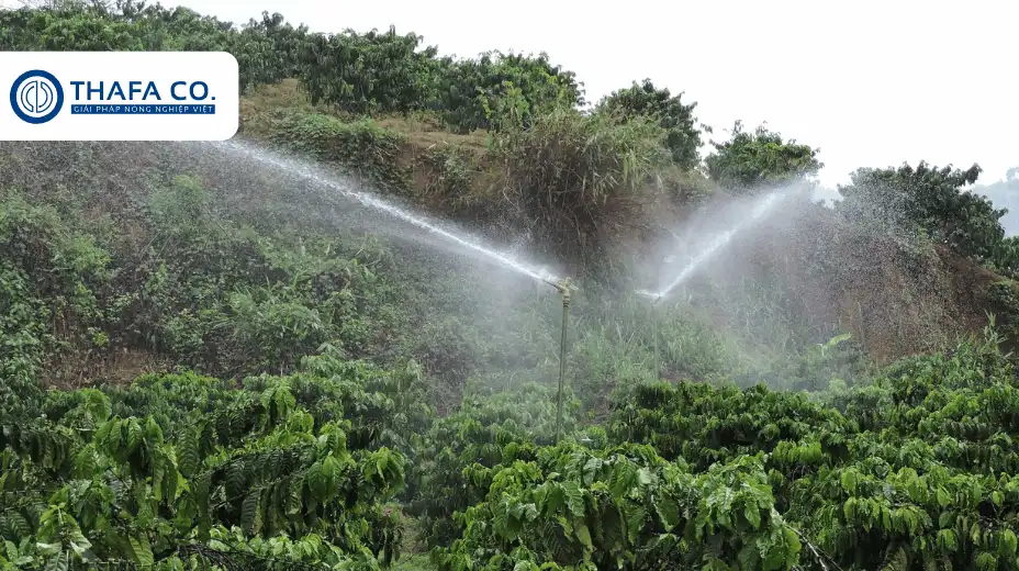 Mua Ngay Béc Tưới Cánh Đập 4 Tia Tại Thafaco