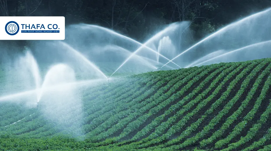 TOP 05 Béc Tưới Nông Nghiệp Tốt Tại Thafaco