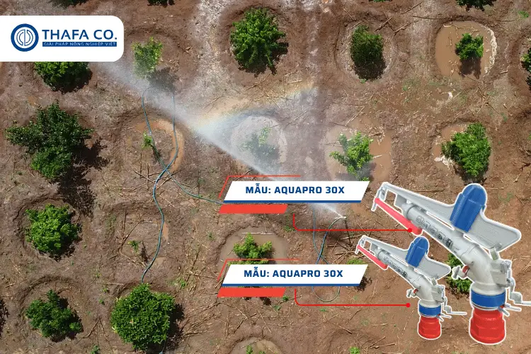 Béc Tưới Cánh Đập Chỉnh Góc – Giải Pháp Tưới Chính Xác 2 Các loại béc tưới cánh đập chỉnh góc