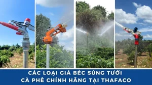 Các Loại Giá Béc Súng Tưới Cà Phê Chính Hãng tại Thafaco