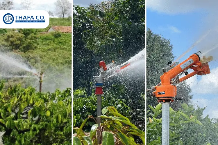 Các Loại Giá Béc Súng Tưới Cà Phê Chính Hãng tại Thafaco 2 Các Loại Giá Béc Súng Tưới Cà Phê