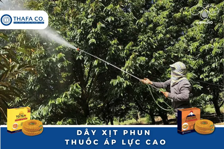 Tối ưu nông nghiệp trị bệnh cháy lá trên cây sầu riêng