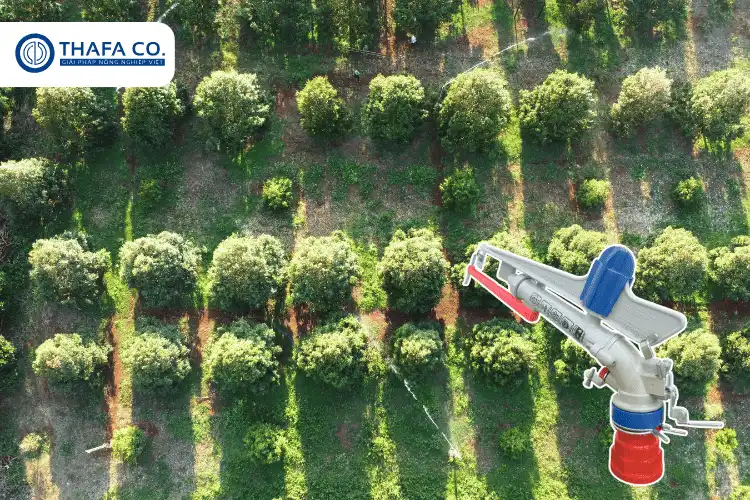 Béc cánh đập Aquapro 40X