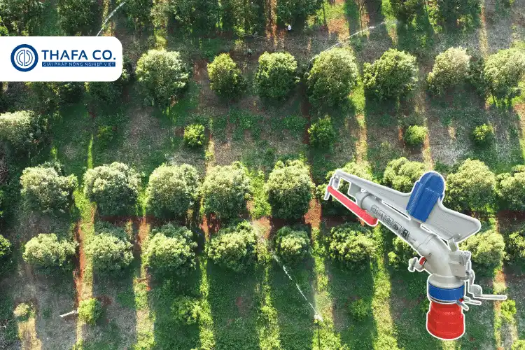 Béc tưới cây cà phê Aquapro 40X