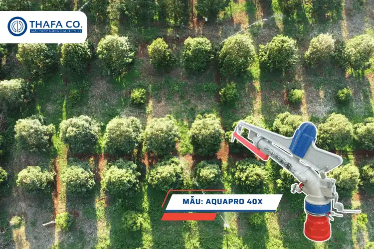 Béc tưới cây cánh đập Aquapro 40X