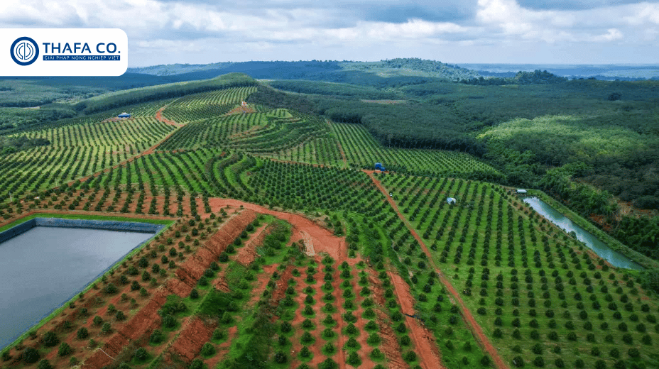 Các loại béc tưới cây tại Thafaco