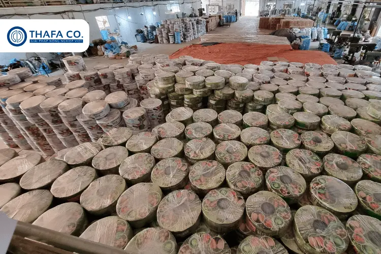 Tìm Hiểu Về Ưu Nhược Điểm Của Tưới Nhỏ Giọt 4 Kết luận chung về ưu nhược điểm của tưới nhỏ giọt