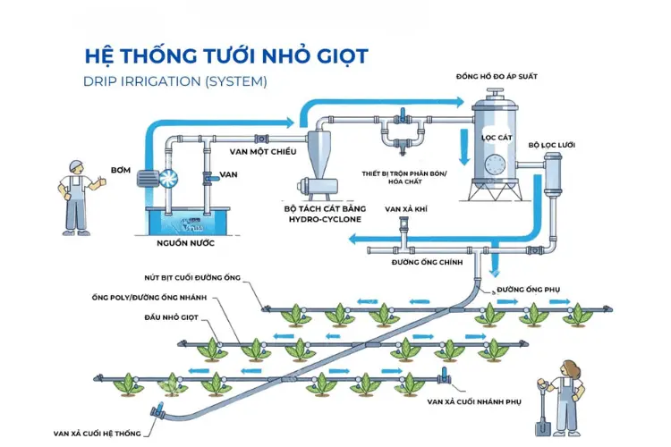 Các thiết bị cần sử dụng trong hệ thông tưới nhỏ giọt dâu tây