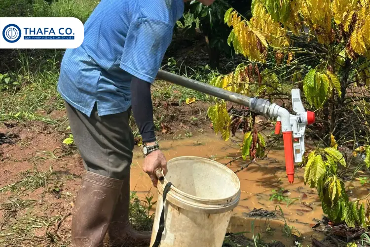 Khái niệm cơ bản về béc tưới