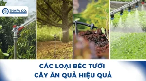 Các loại béc tưới cây ăn quả hiệu quả