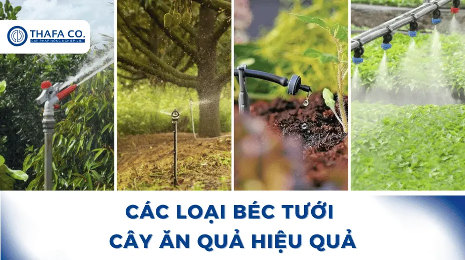 Các loại béc tưới cây ăn quả hiệu quả