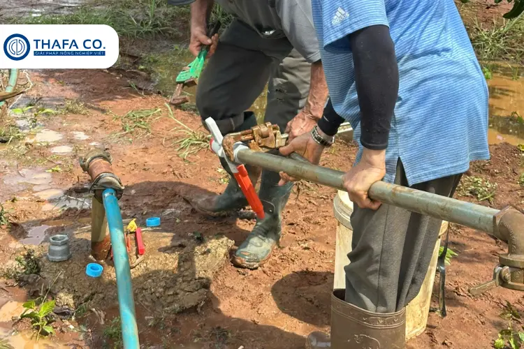 Dễ lắp đặt và bảo trì béc tưới