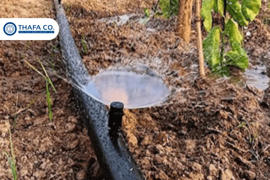 Ống Mềm Có Tác Dụng Gì? Ứng Dụng Trong Tưới Tiêu 9 Ống mềm mang lại nhiều tiện ích cho nông dân