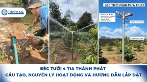 Béc Tưới 4 Tia Thành Phát