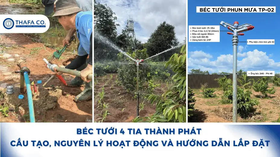 Béc tưới 4 tia Thành Phát – Cấu tạo, nguyên lý hoạt động và hướng dẫn lắp đặt 1 Béc Tưới 4 Tia Thành Phát