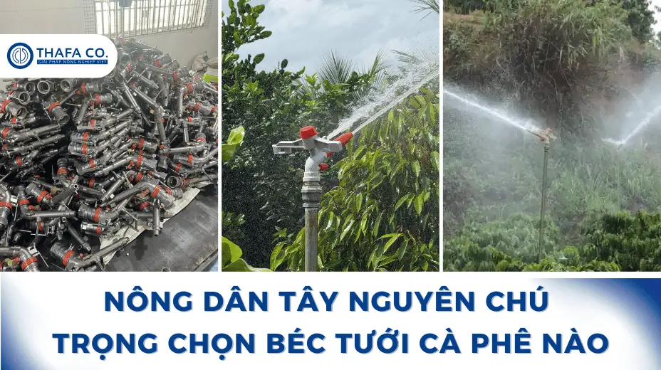 Nông Dân Tây Nguyên Chuyên Dùng Loại Béc Tưới Cà Phê Nào? 1 Béc Tưới Tây Nguyên: Loại Béc Nông Dân Hay Dùng