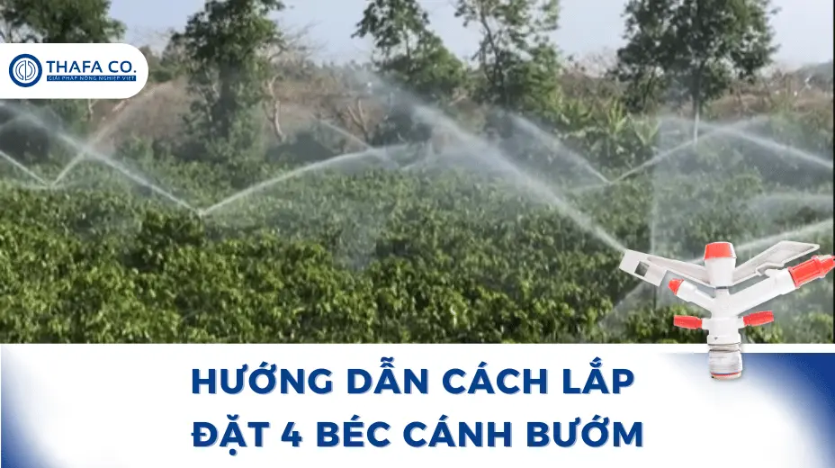 Cách lắp đặt 4 béc cánh bướm