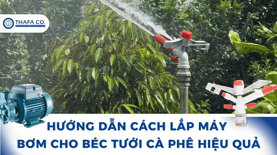 Hướng Dẫn Cách lắp Máy Bơm Cho Béc Tưới Cà Phê Hiệu Quả 1 Cách lắp máy bơm cao áp dùng cho béc tưới Cà Phê
