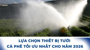 Chọn thiết bị cà phê tối ưu nhất