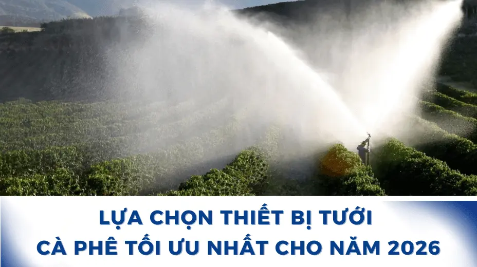 Chọn thiết bị cà phê tối ưu nhất