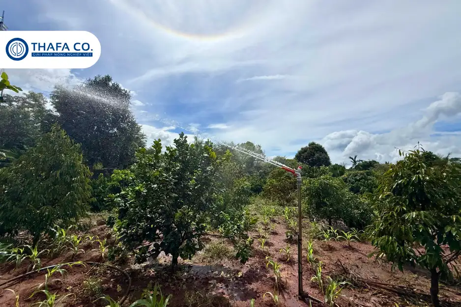 Khả năng chịu thời tiết