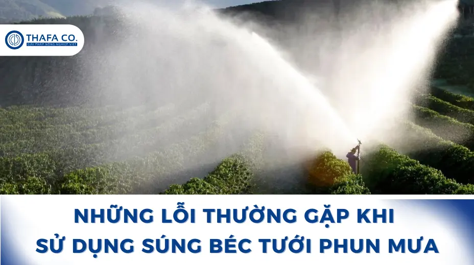 Những Lỗi Thường Gặp Khi Sử Dụng Súng Béc Tưới Phun Mưa 1 Lỗi thường gặp khi sử dụng súng béc tưới phun mưa