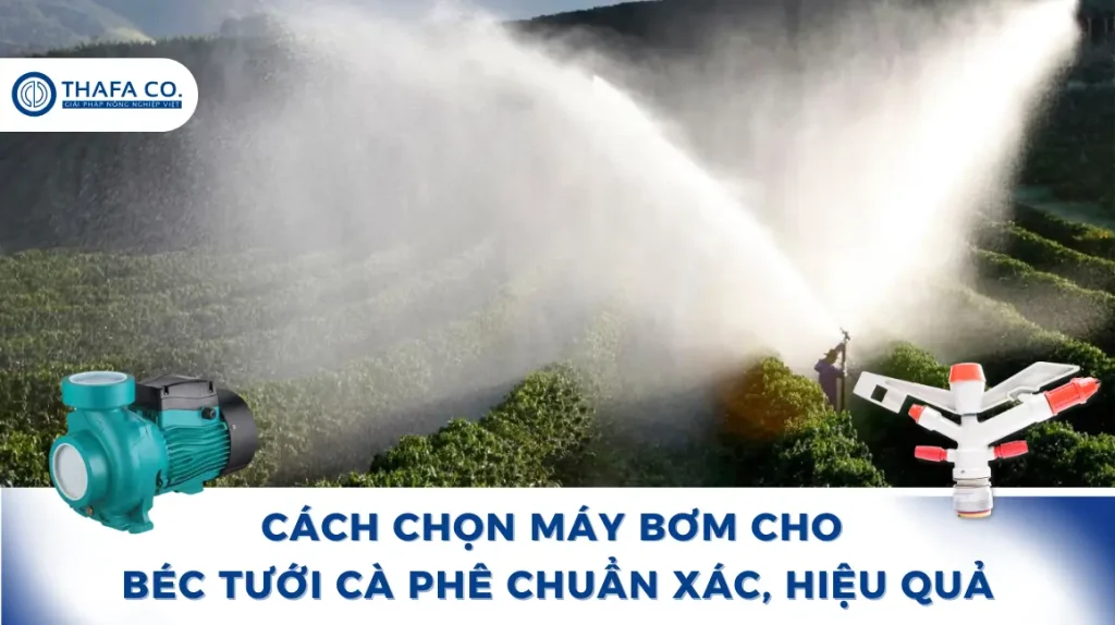 Cách Chọn Máy Bơm Cho Béc Tưới Cà Phê Chuẩn Xác, Hiệu Quả 1 Máy Bơm Cho Béc Tưới Cà Phê