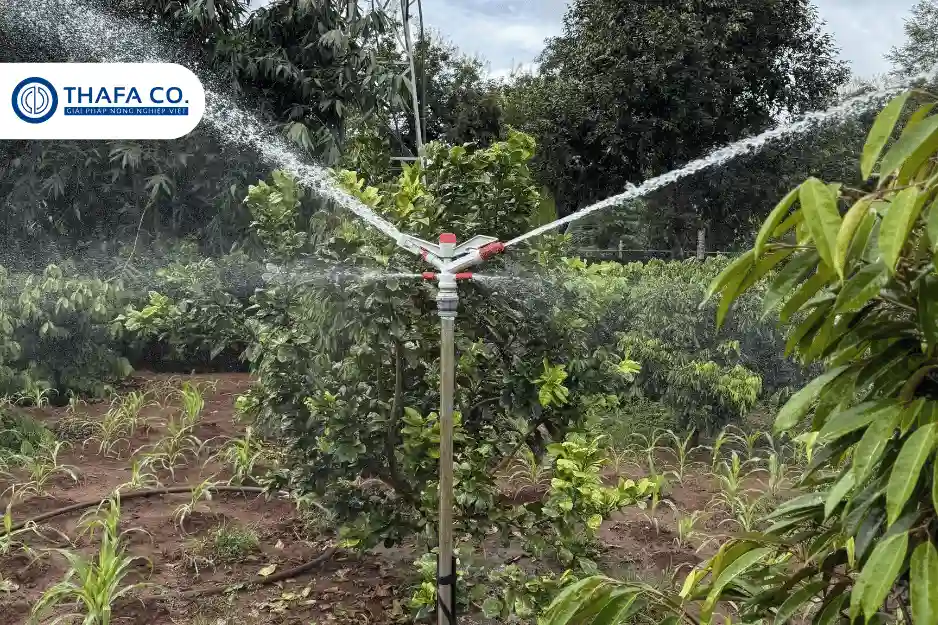 Những Lỗi Thường Gặp Khi Sử Dụng Súng Béc Tưới Phun Mưa 2 Lỗi rò rỉ nước ở đầu nối của súng béc tưới